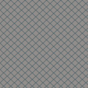 GRAPHIC 80/20 TRIPPLE CHECK