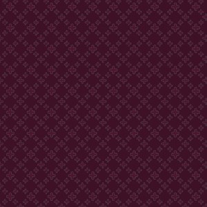 COLORTEC STUCCO PLUS BORDEAUX